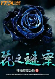 花之谜案章节列表