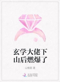 玄学大佬她前夫总想父凭子贵章节列表