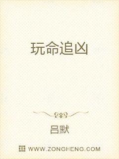 玩命追凶章节列表