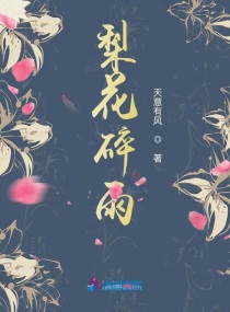 梨花碎雨章节列表