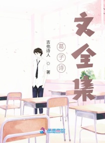 葛子诗文全集章节列表