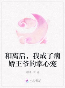 和离后，我成了病娇王爷的掌心宠章节列表