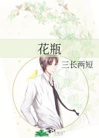 花瓶章节列表