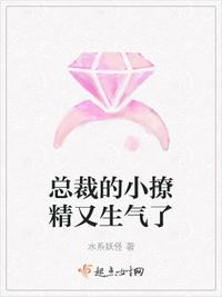 总裁的小撩精又生气了章节列表