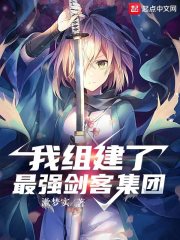 我组建了最强剑客集团章节列表