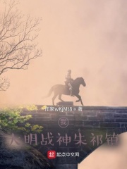 我：大明战神朱祁镇章节列表