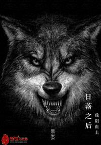 日落之后残阳血土章节列表