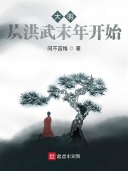 大明：从洪武末年开始章节列表