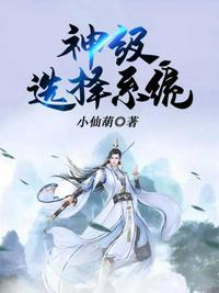 神级选择系统章节列表
