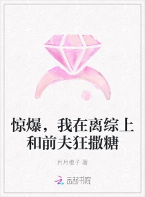 惊爆，我在离综上和前夫狂撒糖章节列表