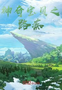 神奇宝贝之路痴章节列表