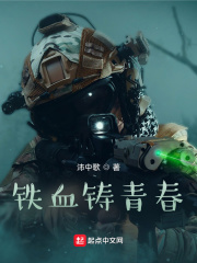 铁血铸青春章节列表