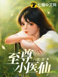 至尊小医仙章节列表