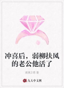 冲喜后，弱柳扶风的老公他活了章节列表