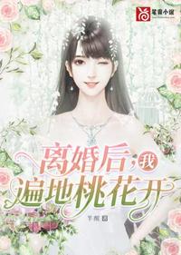 离婚后我遍地桃花开章节列表