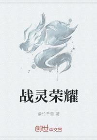 战灵荣耀章节列表