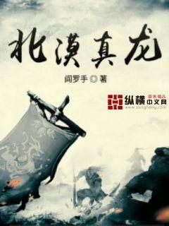 北漠真龙章节列表