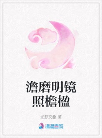 澹磨明镜照檐楹章节列表