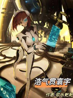 浩气贯寰宇章节列表
