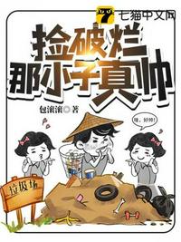 捡破烂那小子真帅章节列表