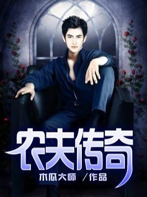 农夫传奇章节列表