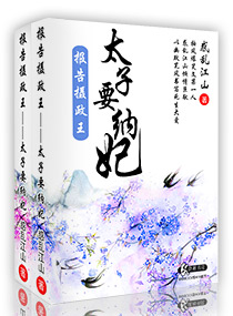 报告摄政王之太子要纳妃章节列表