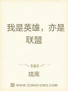 英雄联盟之登峰造极章节列表