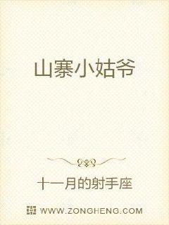 山寨小姑爷章节列表
