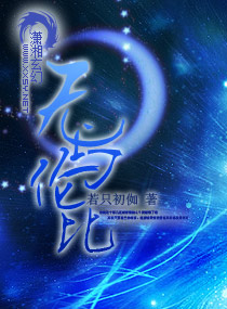 无与伦比章节列表