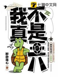 我真不是王八章节列表