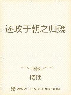 还政于朝之归魏章节列表