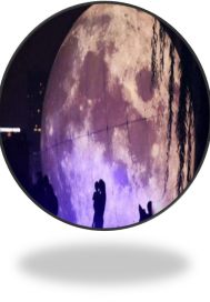 生活在月球章节列表