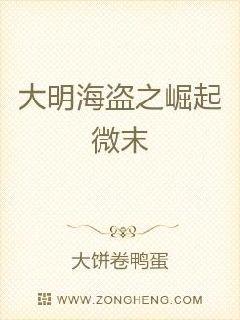 大明海盗之崛起微末章节列表