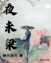 夜未梁章节列表