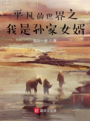 平凡的世界之我是孙家女婿章节列表