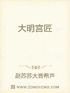 大明宫匠章节列表