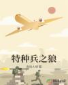 特种兵之狼章节列表