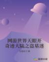 网游世界天眼开奇迹大陆之盗墓迷章节列表