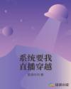 系统要我直播穿越章节列表