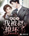 离婚后，我被叔撩坏了章节列表