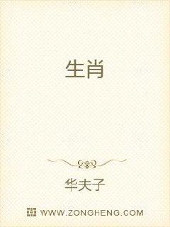 生肖章节列表
