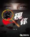 案视你章节列表