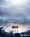 魂纹章节列表