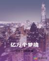 亿万个梦境章节列表