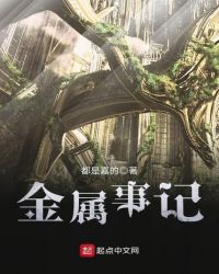 金属事记章节列表
