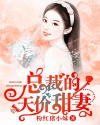 总裁的天价甜妻章节列表