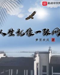 人生就像一张网章节列表