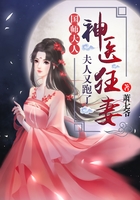 神医如倾章节列表