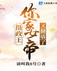 摄政王你家女帝又翻墙了章节列表