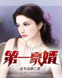 第一豪婿章节列表